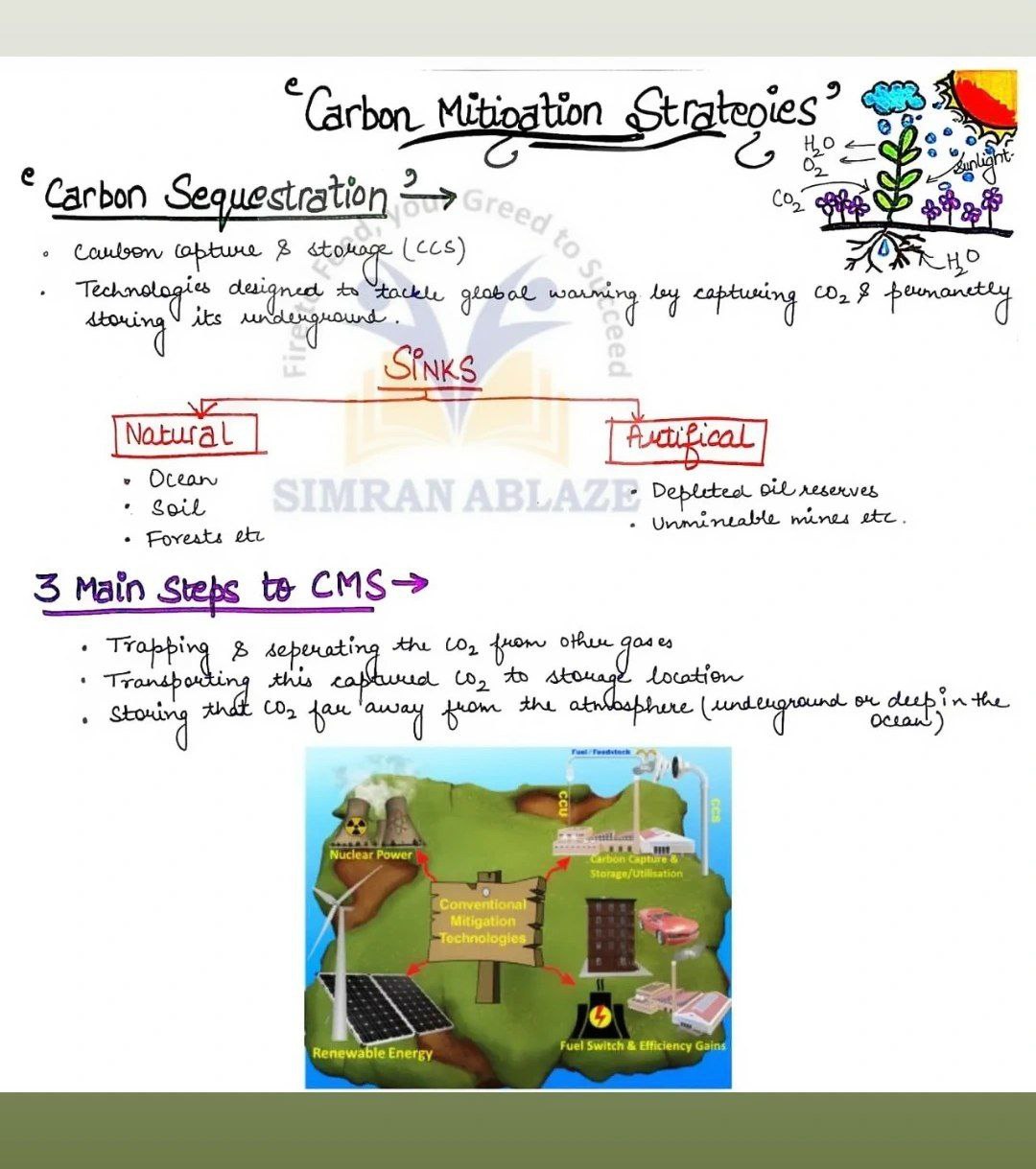 Carbon Mitigation Strategies