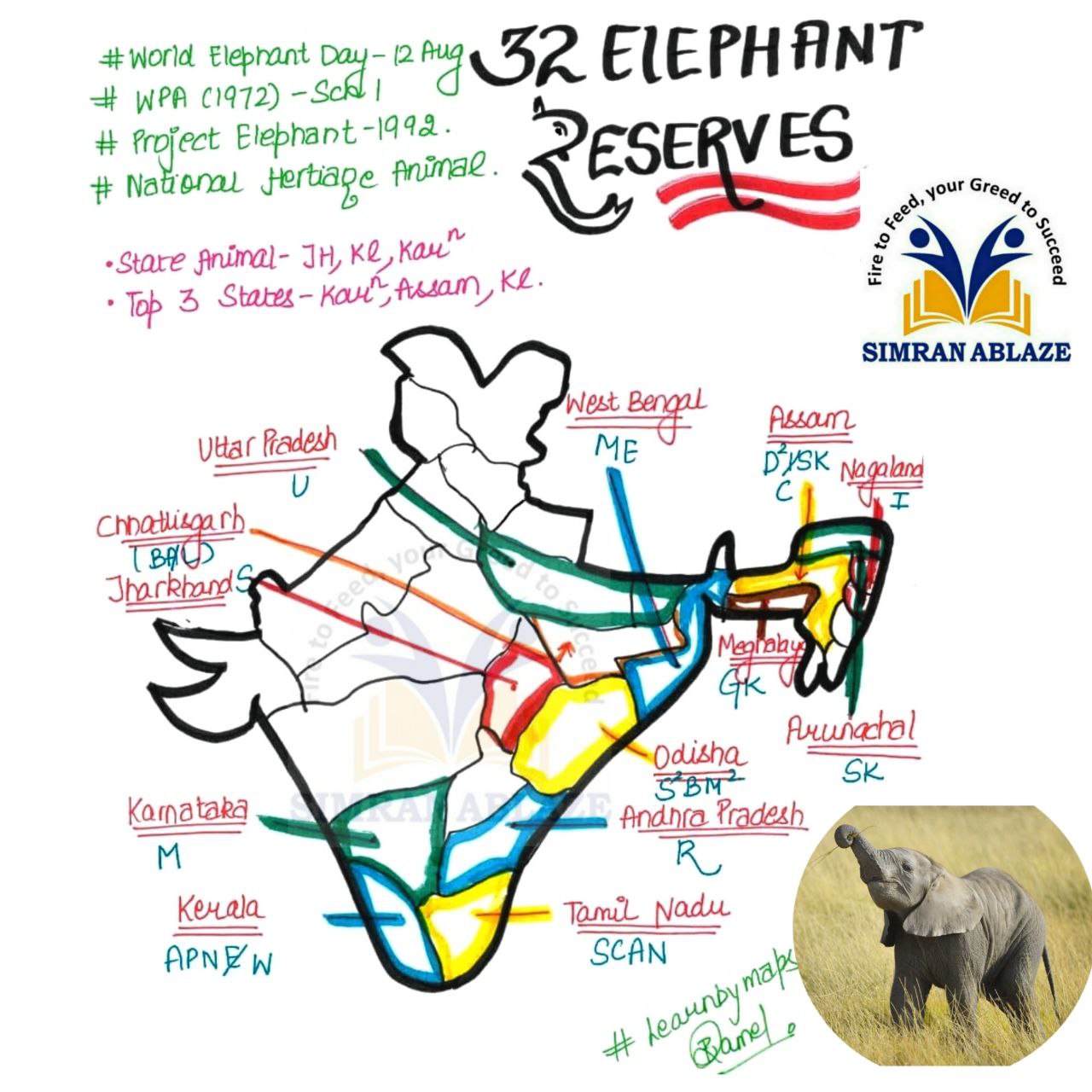 32 Elephant Reserves