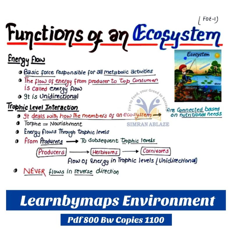 Functions-Of-Ecosystem