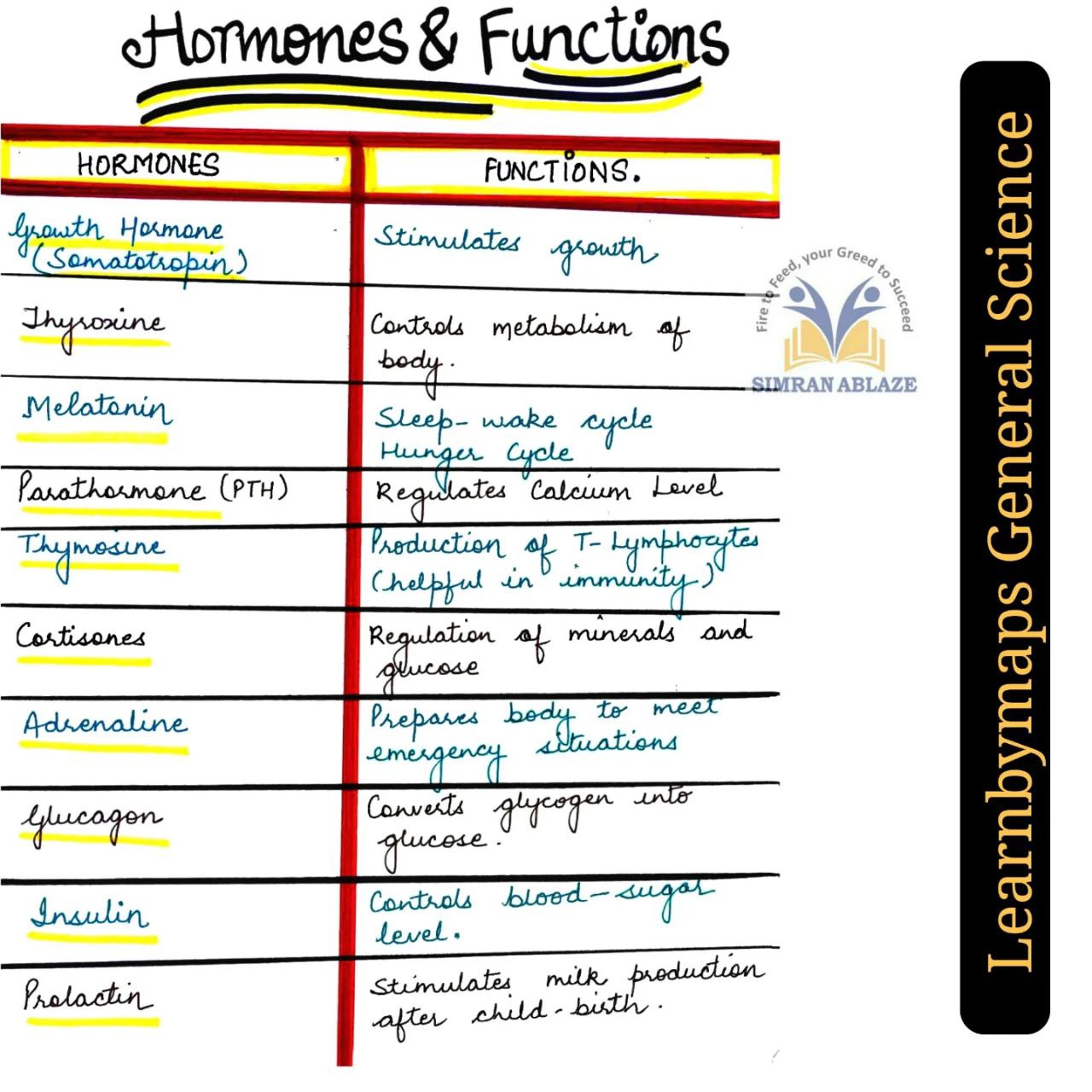 Hormones And Functions