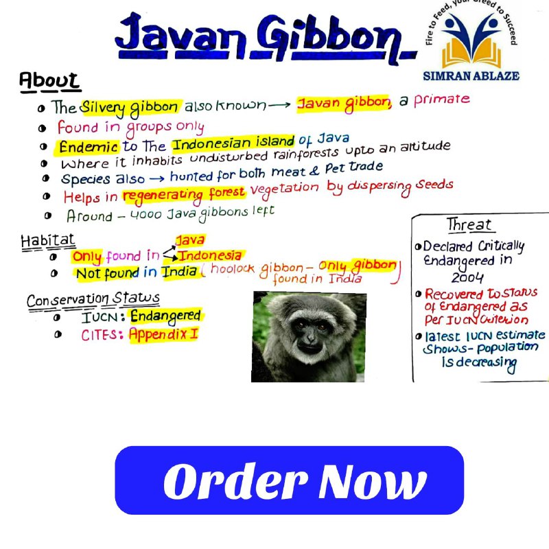Javan Gibbon